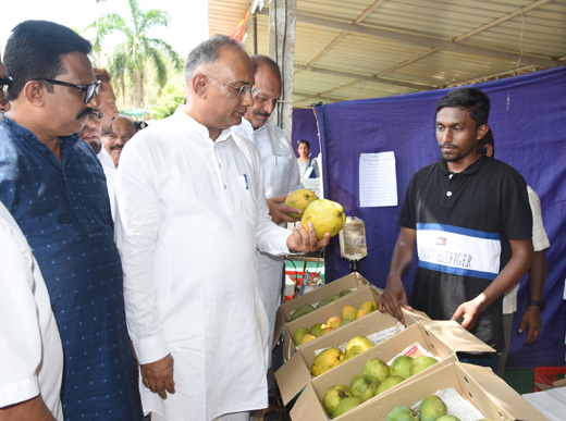 Mango-jackfruit mela